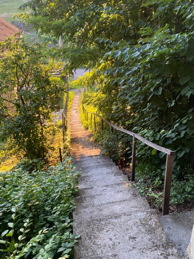 Konaci Nikola Banja Vrujci Hotel Gornja Toplica Bagian luar foto