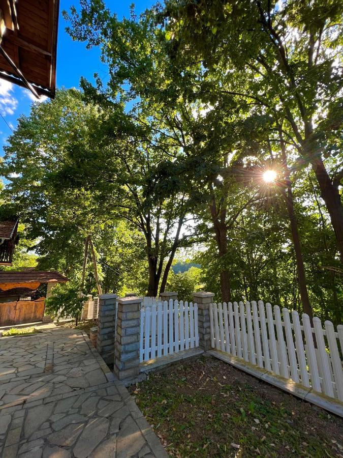 Konaci Nikola Banja Vrujci Hotel Gornja Toplica Bagian luar foto