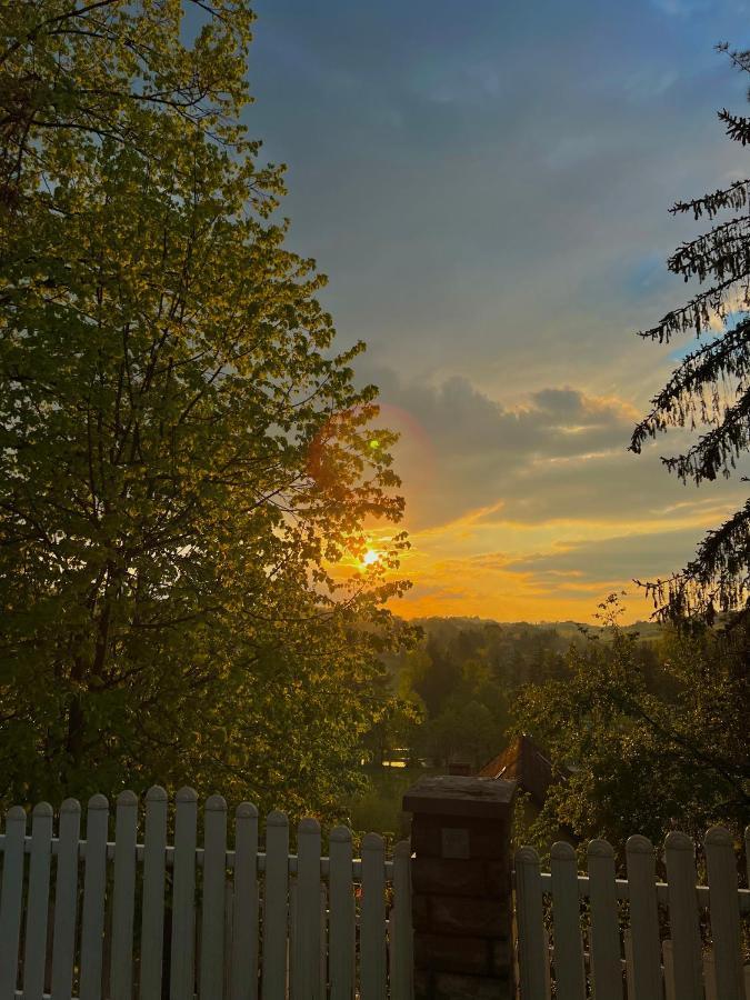 Konaci Nikola Banja Vrujci Hotel Gornja Toplica Bagian luar foto